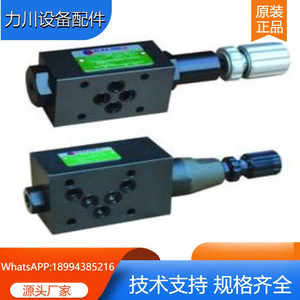 台湾CALYCA电磁阀DSA-G2-C6S-D2 液压换向阀 单向节流阀 溢流阀
