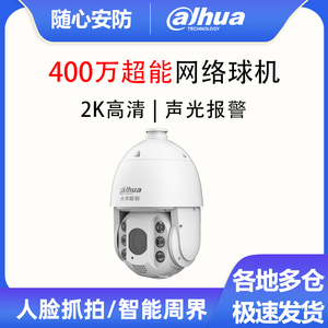 大华400万23/32倍声光警戒网络智能球机 DH-SD6423-YL-PV-i 6432