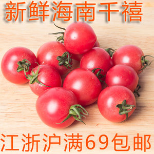 新鲜海南千禧小番茄500g  圣女果cherry tomatoes 江浙沪满69包邮