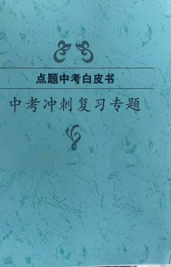 武汉中考冲刺复习专题 点题中考白皮书数学 压轴题  武汉点题培优