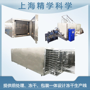 全自动冻干机 中型真空冷冻干燥机 全自动生产型冻干机 冻干设备