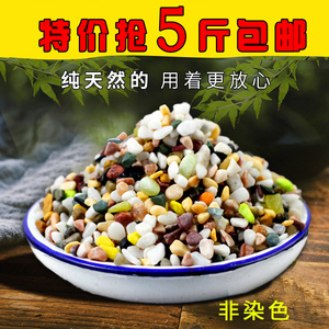 五彩石盆栽多肉植物铺面石雨花石鱼缸造景小石子花盆装饰七彩石头