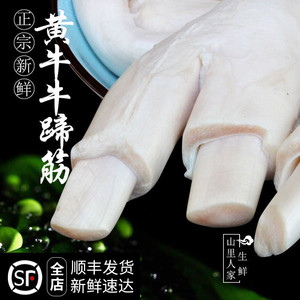 新鲜牛蹄筋 3斤/1500g 生牛筋 农家散养黄牛 牛大筋当天新鲜发货