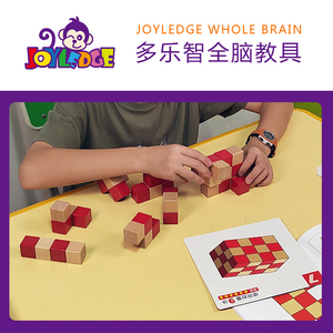 多乐智教具双色拼儿童空间立体积木早教益智木质拼图全脑开发游戏