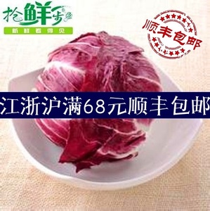 新鲜沙拉菜 落地球生菜 紫苣 红菊苣 红叶包菜500g 江浙沪5件包邮