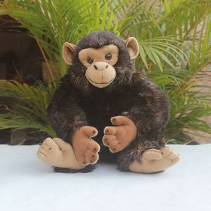 仿真黑猩猩公仔毛绒玩具玩偶大猩猩布娃娃男女节日礼物坐高25厘米