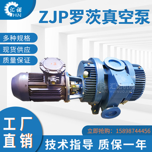 淄博罗茨泵真空泵真空设备机组ZJP150/300/600罗茨水环泵厂家泵头