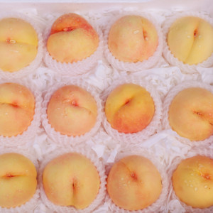 无锡白凤水蜜桃现摘现发新鲜桃子当季水果毛桃猕猴桃整箱包邮