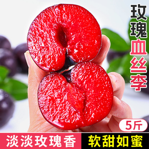 新鲜玫瑰血丝李子5斤水果当季时令红肉孕妇黑布林恐龙蛋整箱包邮3