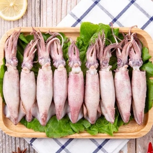 3斤海兔子笔管鱼海鲜产品冷冻满籽籽乌乌贼墨斗鱼墨鱼仔半熟包邮