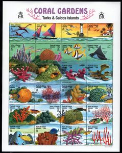 凯科斯群岛邮票1999海洋生物珊瑚火烈鸟西美鸥石鲈鱼天使鱼M全新