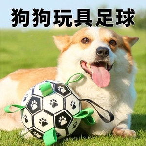 狗狗足球玩具宠物互动球解闷趣味消耗泰迪柯基小幼型犬抛掷弹力球