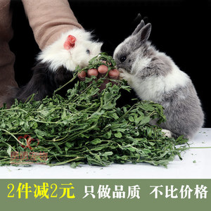 紫花苜蓿兔子兔粮饲料干草幼兔荷兰猪龙猫吃的牧草垂耳兔兔苜宿草 阿里巴巴找货神器 紫花苜蓿兔子兔粮饲料干草幼兔荷兰猪龙猫吃的牧草垂耳兔兔苜宿草 阿里巴巴找货神器