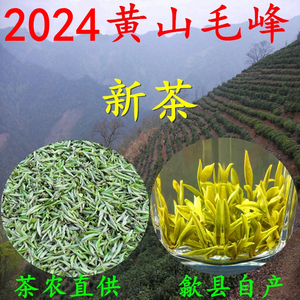 茶农直供 2024新茶叶黄山毛峰 明前绿茶特级雪芽250克 头采高山茶