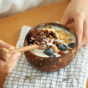 肆月 酸奶碗水果沙拉甜品碗家用创意椰子壳碗早餐麦片燕麦碗ins风