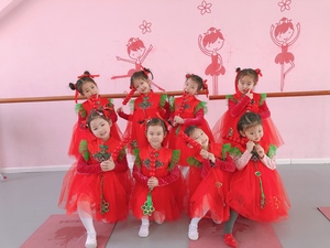 新款儿童演出服女童可爱红色蓬蓬纱裙幼儿中国舞喜庆灯笼舞蹈表演