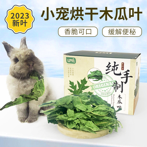 小宠兔子健康零食木瓜叶粗纤维助消化烘干木瓜树叶龙猫荷兰猪兔兔