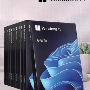 正版win11专业版系统光盘U盘电脑重装windows10家庭中文版升级