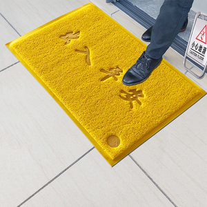 进门入户金色垫子欢迎光临门垫家用地毯防滑脚垫出入平安黄色地垫