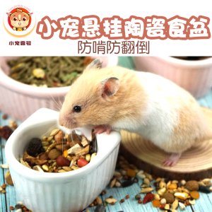 仓鼠刺猬陶瓷碗可悬挂挂碗龙猫松鼠兔子食盆饭碗固定防打翻