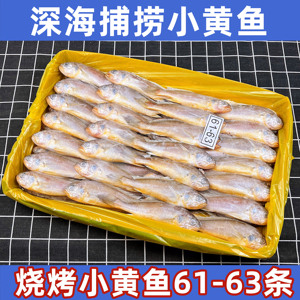 东海小黄鱼冷冻东海黄花鱼烧烤食材新鲜黄鱼鲜活海鲜62条2件包邮