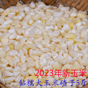 黏玉米碴子 大碴子农家自产玉米糁大碴粥用料白糯玉米渣子5斤包邮