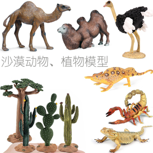 硬塑沙漠动植物仿真模型单双峰骆驼变色龙蜥蜴仙人掌儿童认知玩具