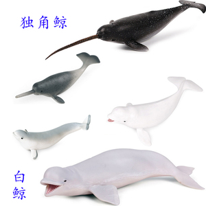 硬塑胶白鲸玩具独角鲸仿真模型一角鲸鱼大小号白鲸长枪鲸儿童玩偶