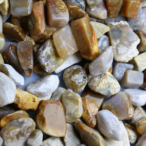天然珊瑚玉化石碎石菊花石裸石鱼缸石盆景石100克价