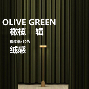 法式橄榄绿 墨绿色 丝绒窗帘轻奢复古2023年新款客厅卧室遮光绒布