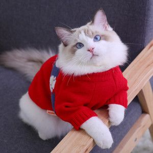 猫咪衣服冬天毛衣新年冬季保暖布偶猫防掉毛秋冬宠物猫猫过年冬装