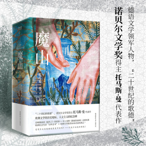 魔山:全二册 诺贝尔文学奖得主托马斯·曼“代表作中的代表作” 德国现代小说的里程碑，欧洲文学的历史地标 陕西师范大学出版社