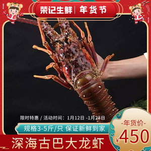 古巴龙虾非鲜活生冻特大龙虾海鲜水产年货食材3-5斤/只小蜜蜂