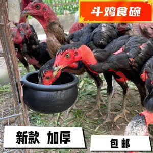 斗鸡食碗斗鸡食槽食器斗鸡食瓢斗鸡橡胶碗鸡用品斗鸡水杯喂鸡料碗