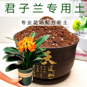 君子兰专用土盆栽花卉种植土通用型营养土弱酸性花土促生根透气土