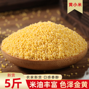 5斤黄小米新米农家自产食用早餐米油小黄米五谷杂粮食糯小米粥