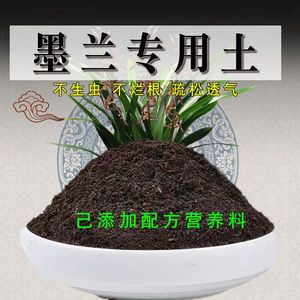 墨兰专用土有机花土种花墨兰花营养土壤养花土通用种植土透气肥料