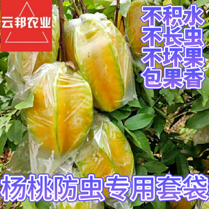 杨桃套袋洋桃番石榴防虫防鸟袋水果果袋百香果专用无网保护透明