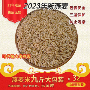 2023年新燕麦米 坝上燕麦仁高原燕麦粒脱壳燕麦蒸饭裸粗粮燕麦9斤
