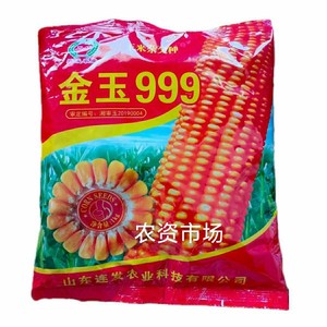 金玉999高产杂交玉米种子大穗春夏播种高产玉米种子.超级玉米