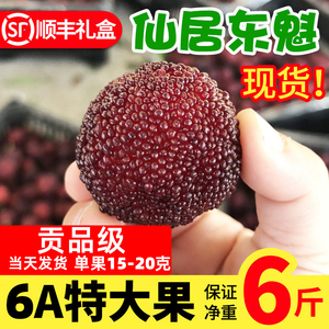 【6A大果】仙居杨梅新鲜东魁鲜果现摘现发水果高山当季6斤水果
