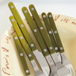 法国正品Sabre Paris蕨绿色亮面西餐具套装刀叉勺子4件套ins复古