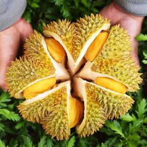 【顺丰包邮】泰国甲仑榴莲进口水果当季生鲜3-7斤A级