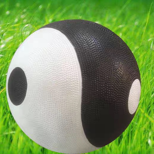 太极球太极练功球健身球空心橡胶球行功太极球揉推球柔力球八卦球