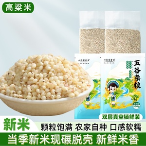 白高粱米新米500g农家粗粮饭五谷杂粮粽子专用新鲜粘糯高粱米煮粥