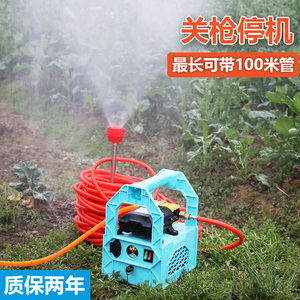 12V农用电动喷雾器手提式消毒充电果树打药机抽水洗车机高压双泵