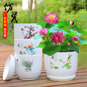 仿瓷塑料简约特大号兰花绿萝花卉碗莲睡莲花盆荷花无孔水培小花盆