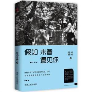 {新书现货 假如未曾遇见你 邻城酒肆作品 感动人心故事集 20个治