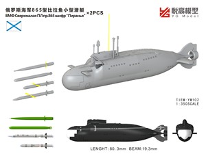 俄罗斯海军865型比拉鱼级小型潜艇*2PCS