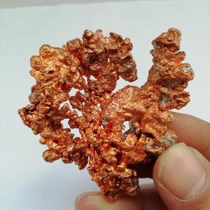 N34树枝状自然铜 铜矿小矿标矿物晶体矿石教学原石收藏石头 晶簇